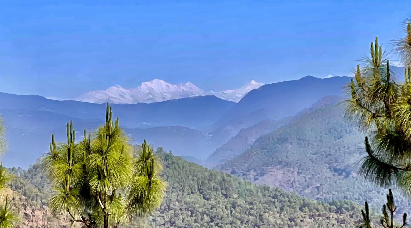 AdiMount View